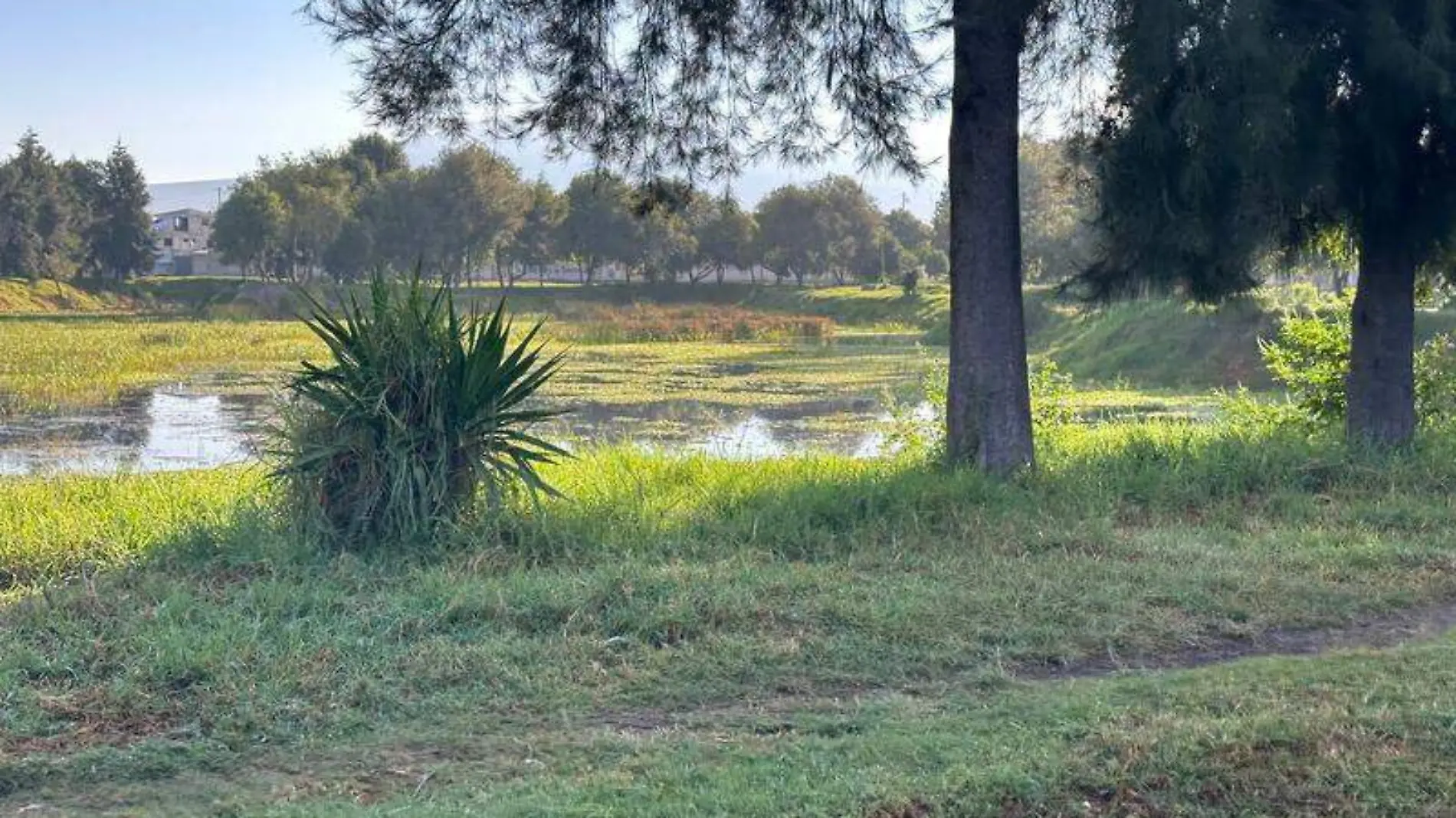 presa de Acomulco